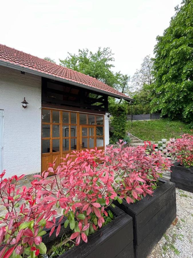 Cesargradska Klet Apartment ตูเฮลย์ ภายนอก รูปภาพ
